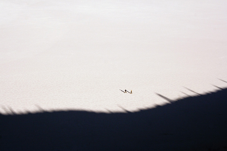 Isla del Pescado, Uyuni salt flat, Bolivia
